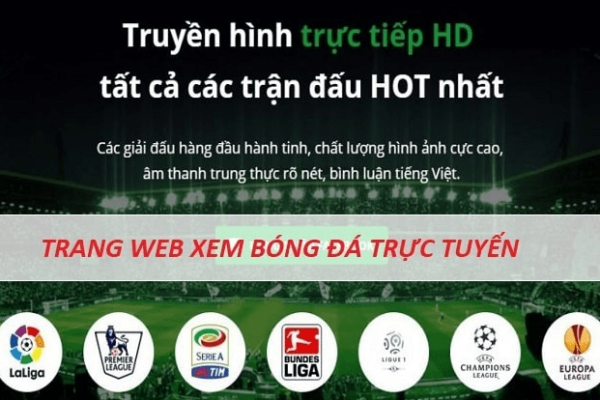 Những địa chỉ xem trực tiếp bóng đá trên điện thoại hàng đầu Việt Nam