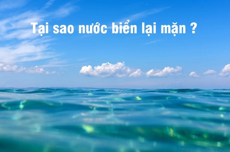 Nước mưa chảy qua đất đá, cuốn khoáng chất ra sông rồi đổ về biển. 