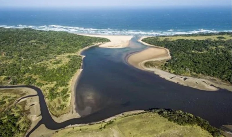 Sông ngòi mang theo khoáng chất từ đất liền, góp phần tạo nên độ mặn của biển. 