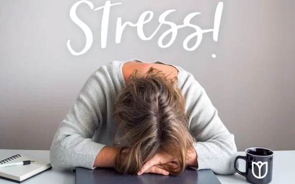Stress là gì? Nguyên nhân, dấu hiệu nhận biết và cách kiểm soát hiệu quả