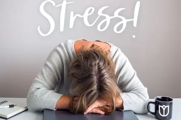 Stress là gì? Nguyên nhân, dấu hiệu nhận biết và cách kiểm soát hiệu quả